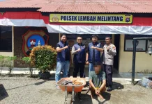 Tim URC Polsek Lembah Melintang Tangkap Pelaku Curat