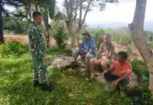 Babinsa Payakumbuh Tanam Ubi Dorong Ketahanan Pangan