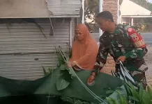 Babinsa Harau Dorong Kolam Terpal Nila