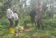 Babinsa Suliki Ajak Warga Bangun Lingkungan Sehat