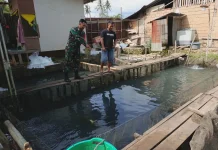 Babinsa Payakumbuh Dukung Budidaya Ikan Nila