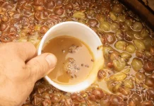 Bahaya Tren Kopi Fermentasi Terhadap Lambung