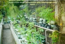 Memanfaatkan Galon Bekas Menjadi Kebun Berkelas