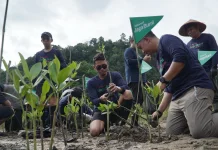 Telkomsel Hijaukan Pesisir Selatan Lewat Penanaman 3000 Pohon Mangrove