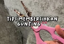 Tips Menajamkan Gunting Berkarat