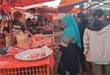 Harga Ayam di Pasar Aur Kuning Rp65 Ribu