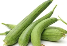 Cara Memasak Sayur Oyong Simple Kuah Gurih