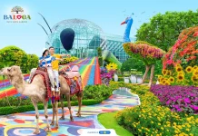Batu Love Garden, Destinasi Wisata Edukasi yang Memikat di Kota Batu