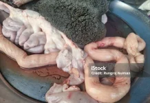 Usus Sapi, dan Manfaat Mengonsumsinya