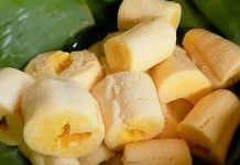 Kaya Probiotik, Ini Ragam Manfaat Tape Singkong untuk Kesehatan