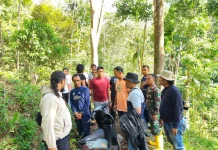 Kodim 0304/Agam Ungkap Praktik Tanam Ganja di Palembayan, Dua Petani Diamankan