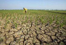 Elnino, dan Dampaknya dalam Lingkungan Skala Global