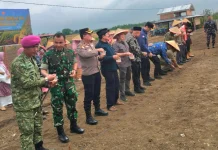 Kodim Agam Dukung Panen Raya Jagung dan Swasembada Pangan Nasional