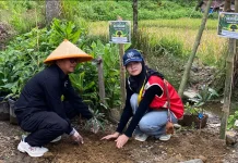 Pemerintah Polri, dan KKN UGM Tapak Koto Gelar Penghijauan di IV Koto