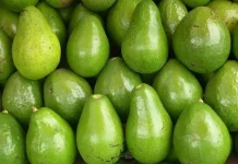 Apa Itu Buah Klimaterik? Kenali Ciri dan Contohnya