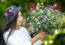 Merawat Bunga, Merawat Jiwa,"Manfaat Positif dari Hobi Menanam"