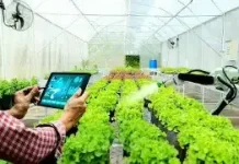 Modal Terbatas Tetap Bisa Cuan, Ini 5 Peluang UMKM yang Menjanjikan