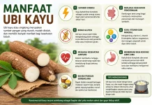 Manfaat Ubi Kayu bagi Kesehatan dan Kehidupan Sehari-hari