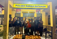 Ditresnarkoba Polda Sumbar, dan Polres Pasbar Gagalkan Peredaran Narkotika