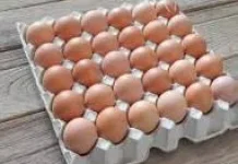 Manfaat Telur Maksimal Berawal dari Cara Konsumsinya Tepat