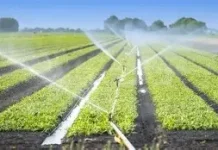 Mengenal Sistem Irigasi Cerdas, Teknologi yang Membantu Petani Mengelola Air