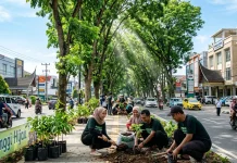 Pentingnya Menanam Pohon di Perkotaan