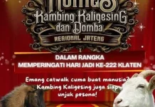 Kontes Kambing Piala Wali Kota Payakumbuh Meriahkan Akhir Pekan