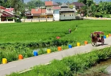 Desa Wisata, Motor Baru Penggerak Ekonomi Lokal