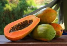 Jangan Sembarangan Makan Pepaya Bersama Makanan Ini