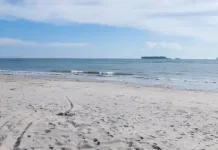 Pesona Pantai Tiku Pariaman