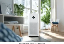 Beragam Manfaat Air Purifier bagi Kesehatan