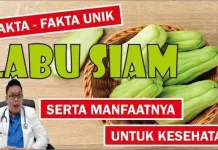 Manfaat Labu Siam untuk Kesehatan