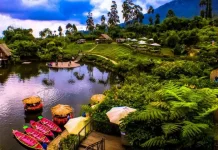 Jauh-Jauh Pergi, Cuma Demi Satu Foto?, ternyata Ini Alasannya
