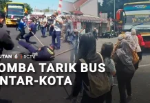 Seru! Emak-Emak Ikut Lomba Tarik Bus Meriahkan HUT ke-81 RI