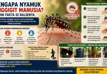 Mengapa Nyamuk Menggigit Manusia? Ini Fakta di Baliknya