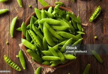 Sejumlah Manfaat Kacang Polong untuk Tubuh
