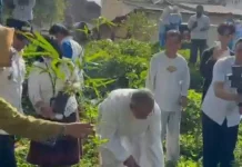 Tabur Benih di Ngarai Sianok, Investasi Mitigasi Bencana