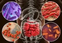 Gut Health, dan Perannya bagi Pencernaan serta Kesehatan Tubuh