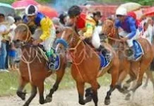 Pacu Kuda Tradisi, Olahraga, dan Hiburan yang Menarik