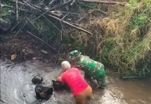 Babinsa dan Warga Bersihkan Aliran Batang Piobang