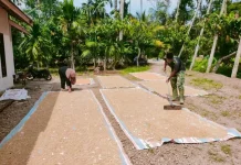 Satgas TMMD Gotong Royong Bersama Warga Buluh Kasok