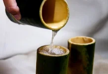 Mengenal Pohon Nira