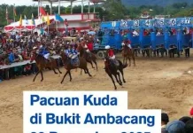 Olah Raga Pacu Kuda di Bukittinggi Tradisional yang sarat Sejarah dan Budaya