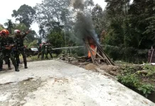 Karhutla Mengintai, Aparat Gabungan Bergerak Selamatkan Hutan Malalak