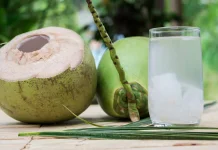 Minuman Air Kelapa Segar dan Kaya Elektrolit