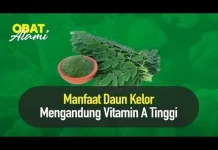 Manfaat Daun Kelor untuk Kesehatan