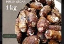 Manfaat Talas Kimpul dan Kandungan Gizinya