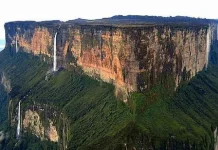 Gunung Roraima: Gunung Meja Ikonik Tiga Negara dengan Ekosistem Purba