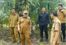 Turun ke Lapangan, Bupati Pasaman Barat Tinjau Kesiapan Lahan Sekolah Rakyat