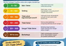 Kualitas Udara Bukittinggi Masuk Tidak Sehat
